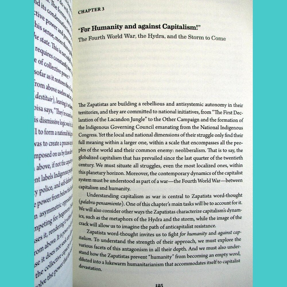 Book -  The Zapatista Experience: Rebellion, Resistance, and Autonomy - Picture 9 of 13